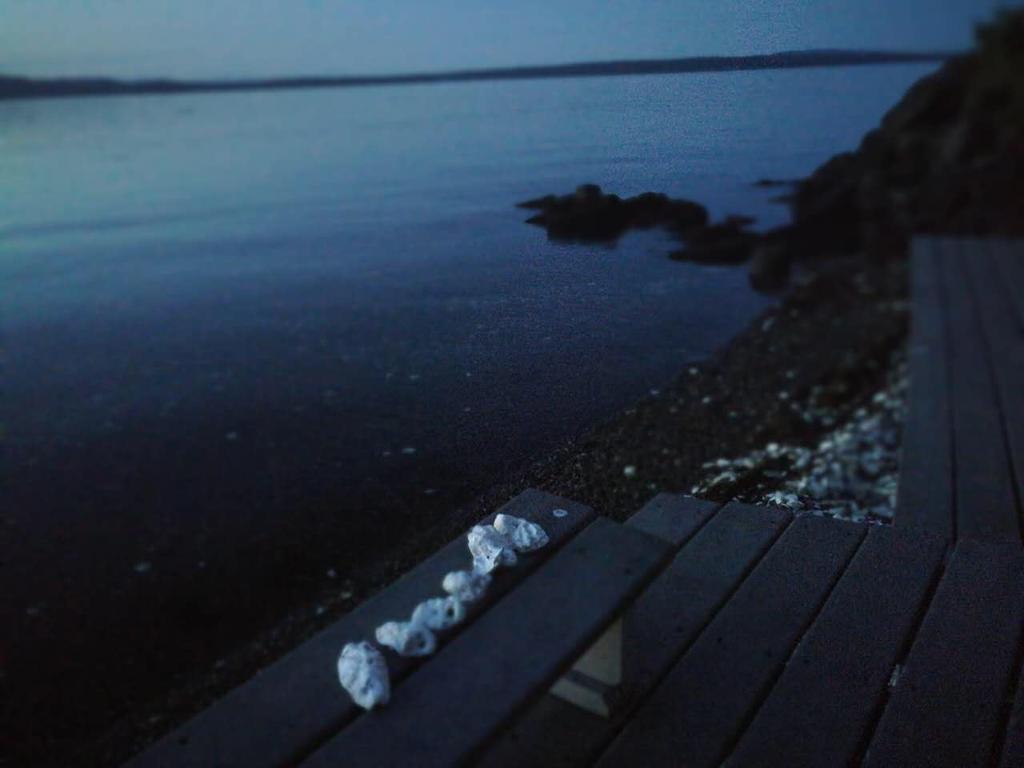 تشيماينوس Vancouver Island Castle Cove Inn المظهر الخارجي الصورة