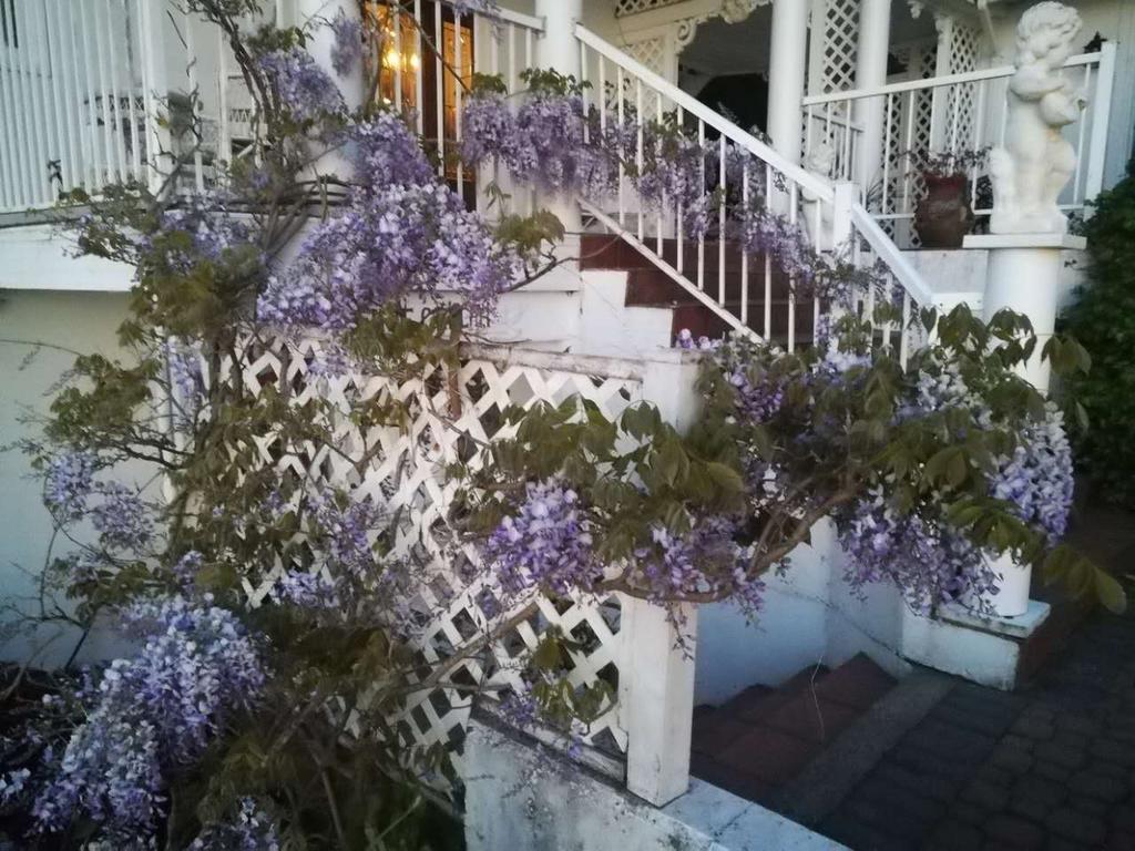 تشيماينوس Vancouver Island Castle Cove Inn المظهر الخارجي الصورة