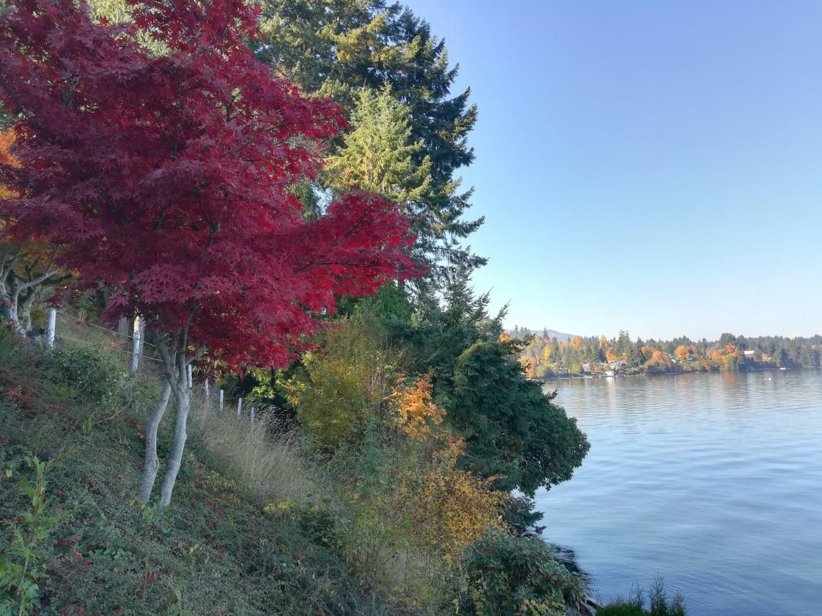 تشيماينوس Vancouver Island Castle Cove Inn المظهر الخارجي الصورة