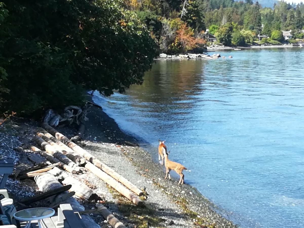 تشيماينوس Vancouver Island Castle Cove Inn المظهر الخارجي الصورة